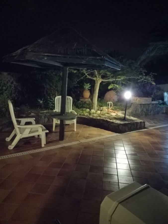 Palmeras Ingenio Exterior foto